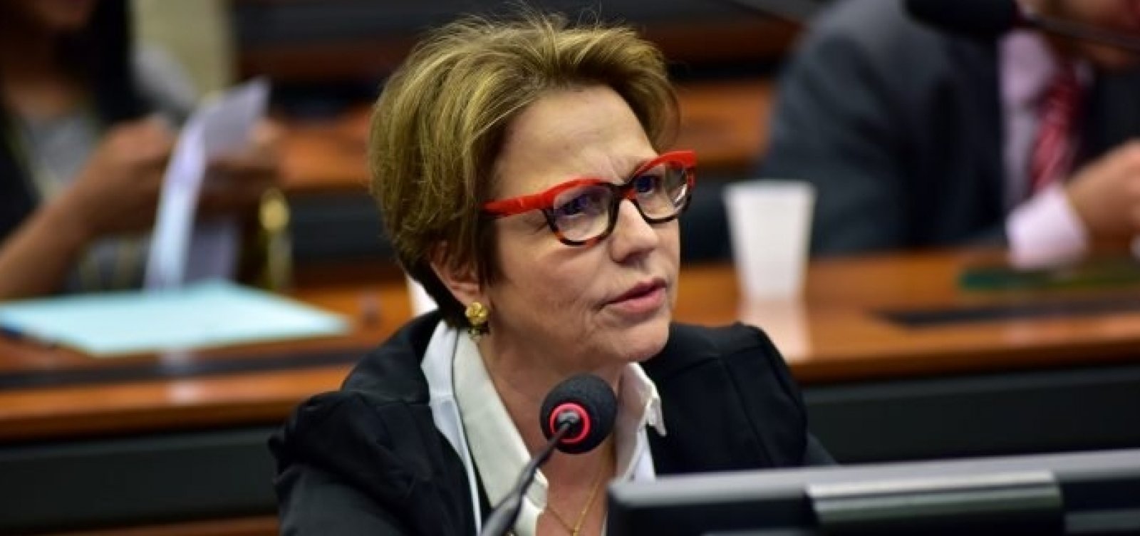 Futura ministra da Agricultura admite negócio com JBS, mas nega conflito de interesses