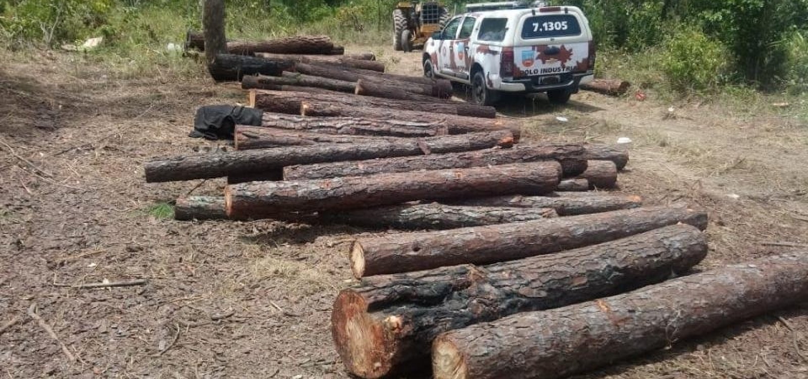 Onze pessoas são presas em flagrante por desmatamento em área de proteção ambiental