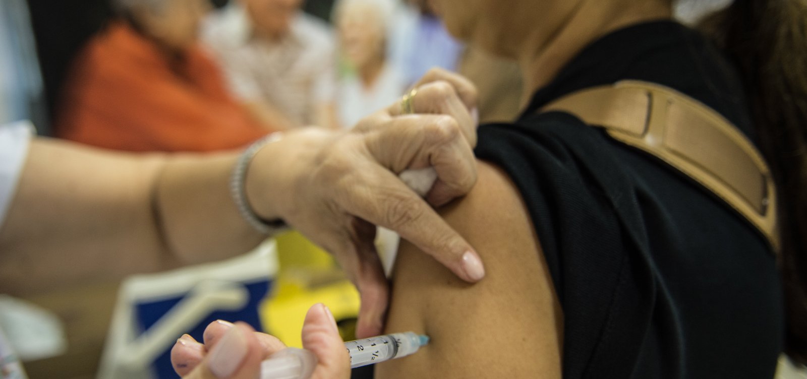 Ministério da Sáude recomenda imunização contra febre amarela antes do verão