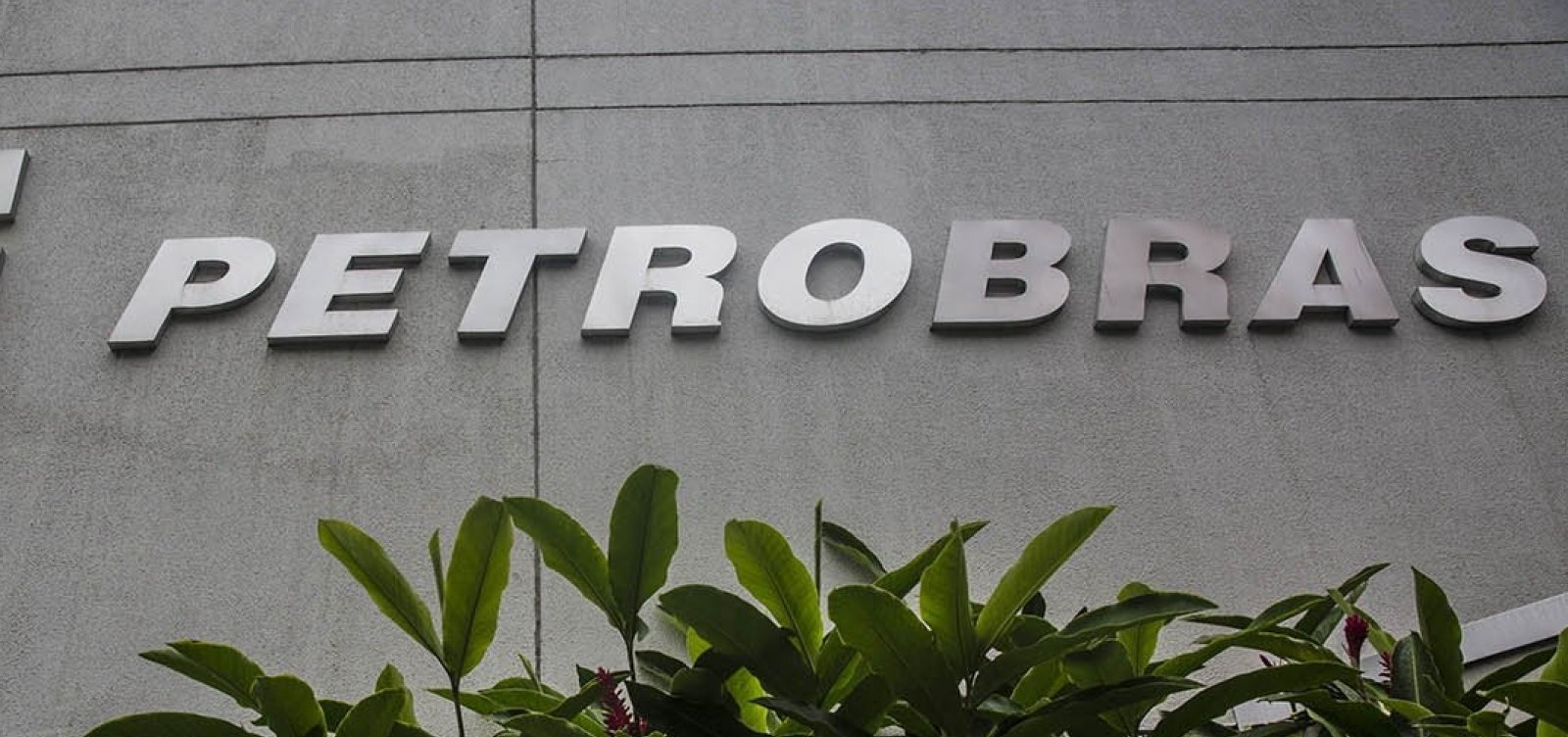 Petrobras diz que indicação de Castello Branco ainda não foi formalizada