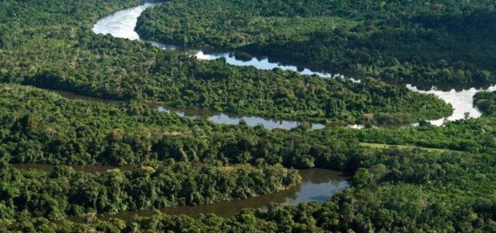 Desmatamento na Amazônia cresce e alcança maior número da última década