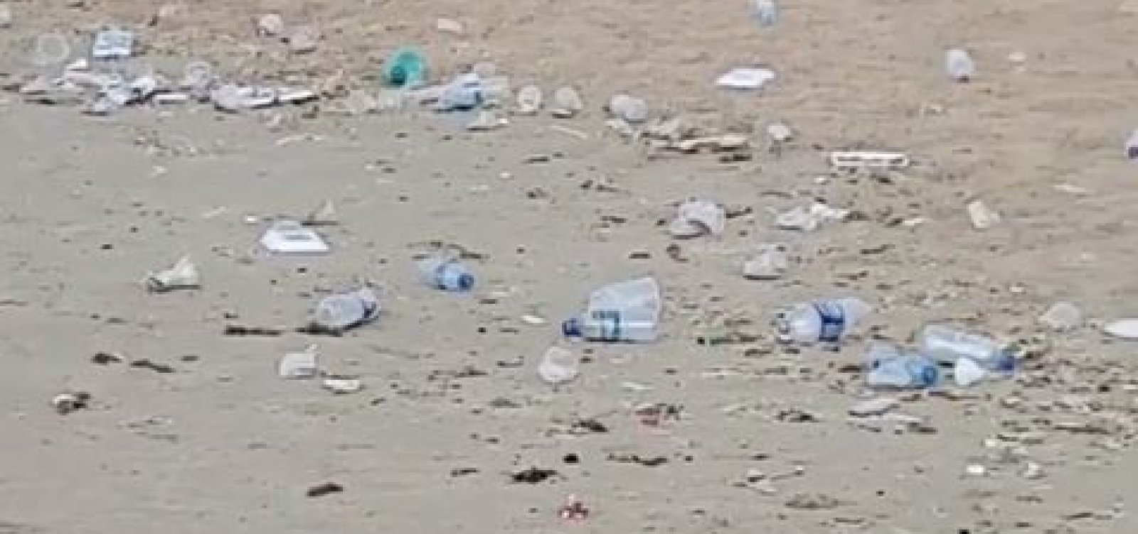 Você Repórter: praia de Piatã amanhece repleta de lixo; veja vídeo