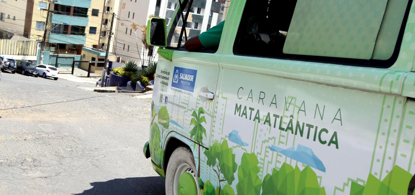 Prefeitura planeja plantio de mais de 25 mil árvores nos próximos meses