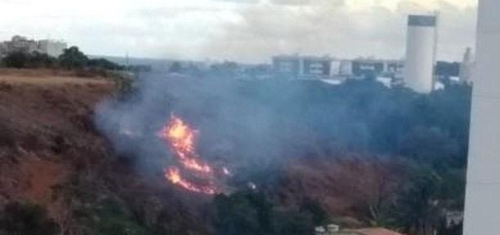 Incêndio atinge vegetação na região do Bate Facho