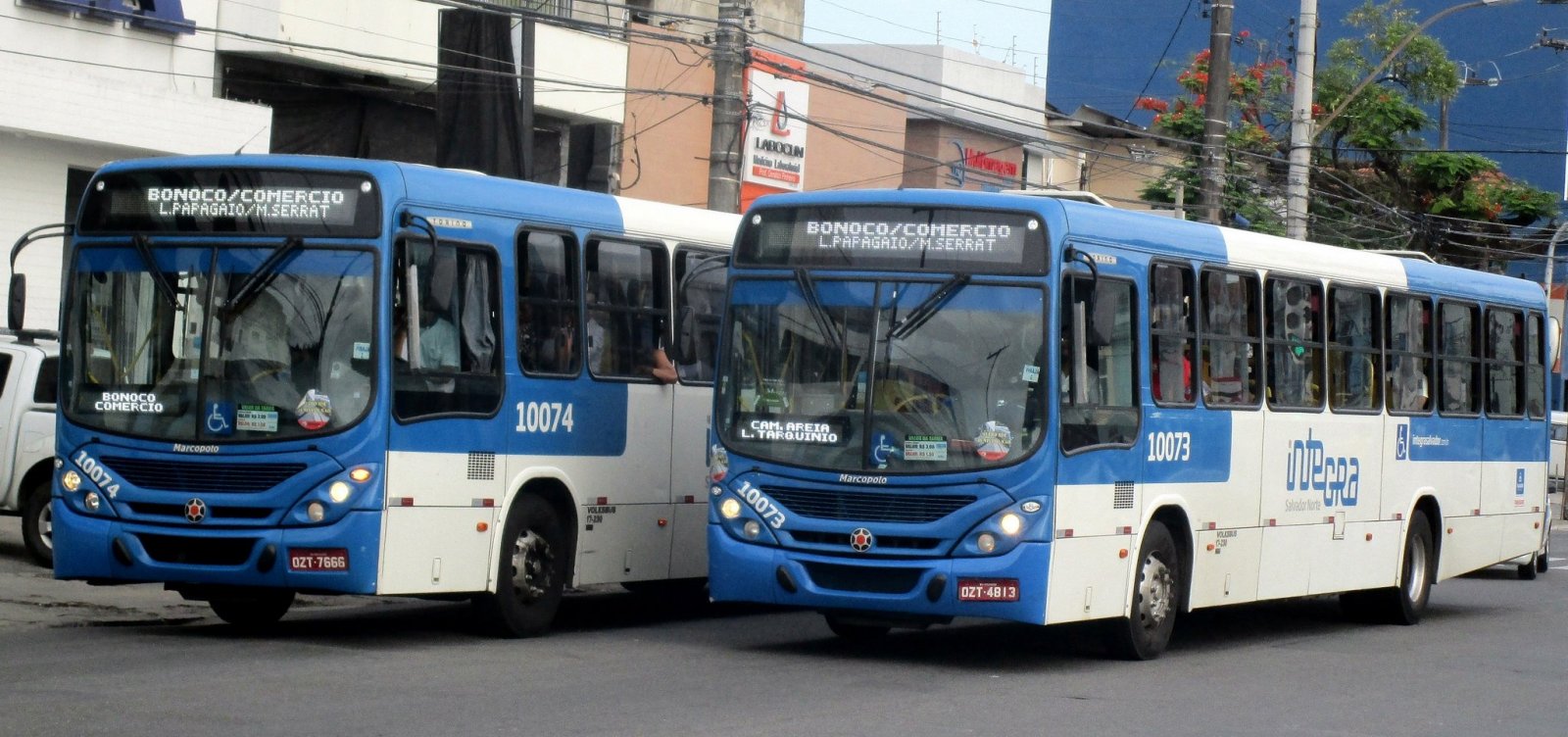 Prefeitura de Salvador rebate Integra e nega desequilíbrio no sistema de ônibus