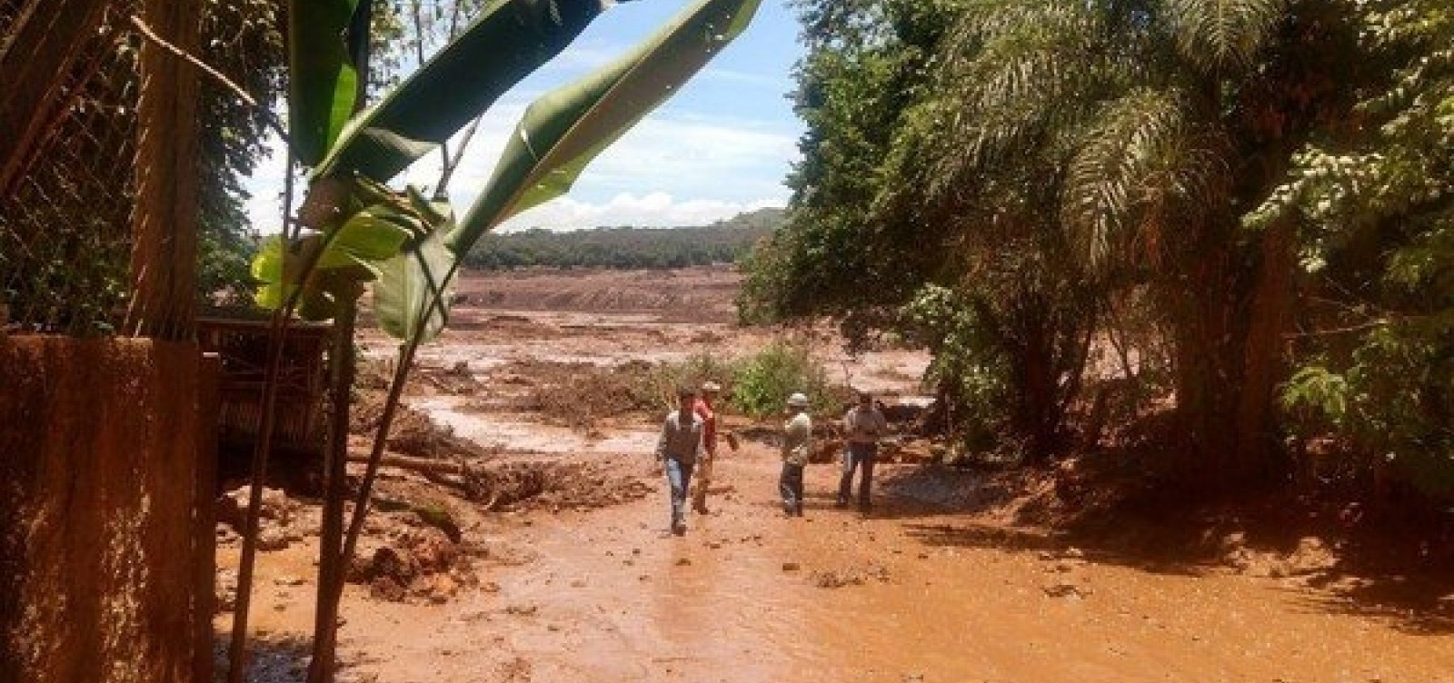 Sobe para 60 o número de mortos em Brumadinho