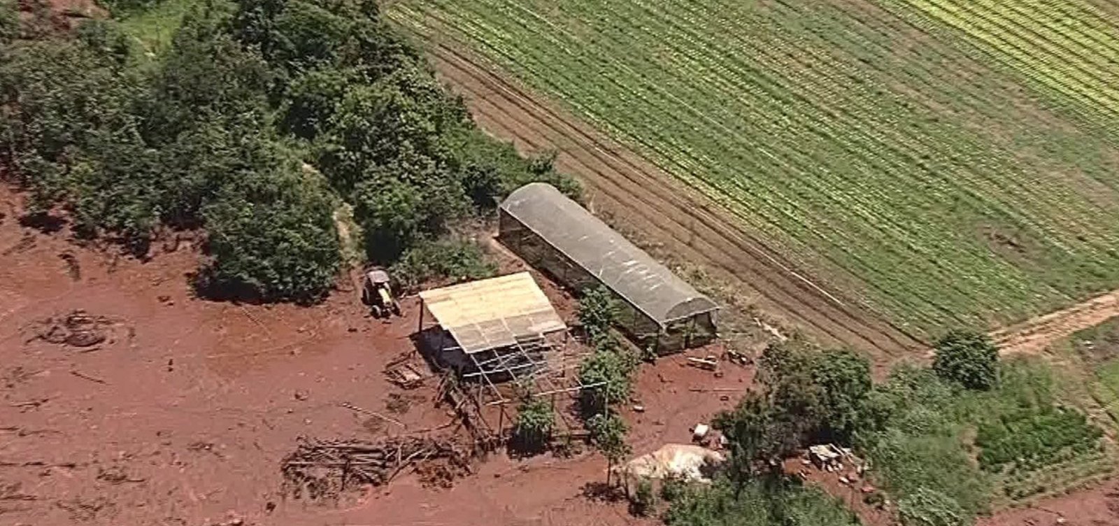 Defesa Civil confirma 115 mortes em Brumadinho