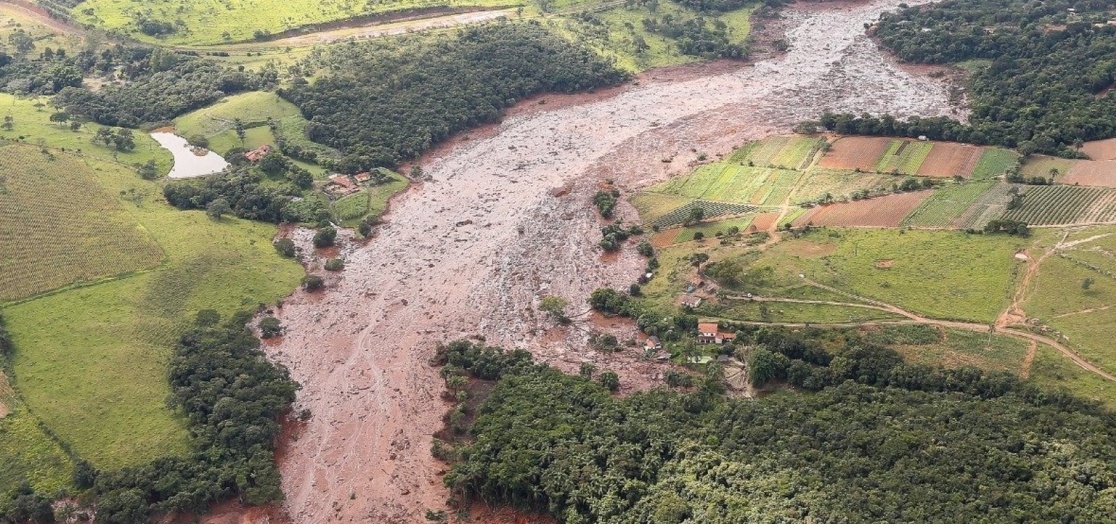 Ibama aplica multa diária à Vale por falhas no salvamento de animais