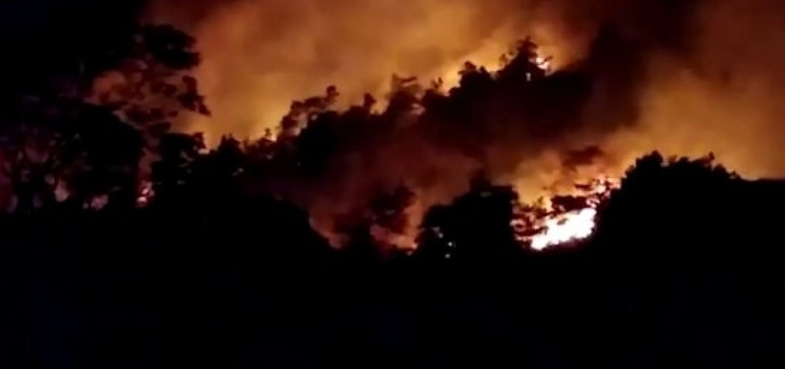 Salvador e RMS registram 179 incêndios em vegetação em 2019