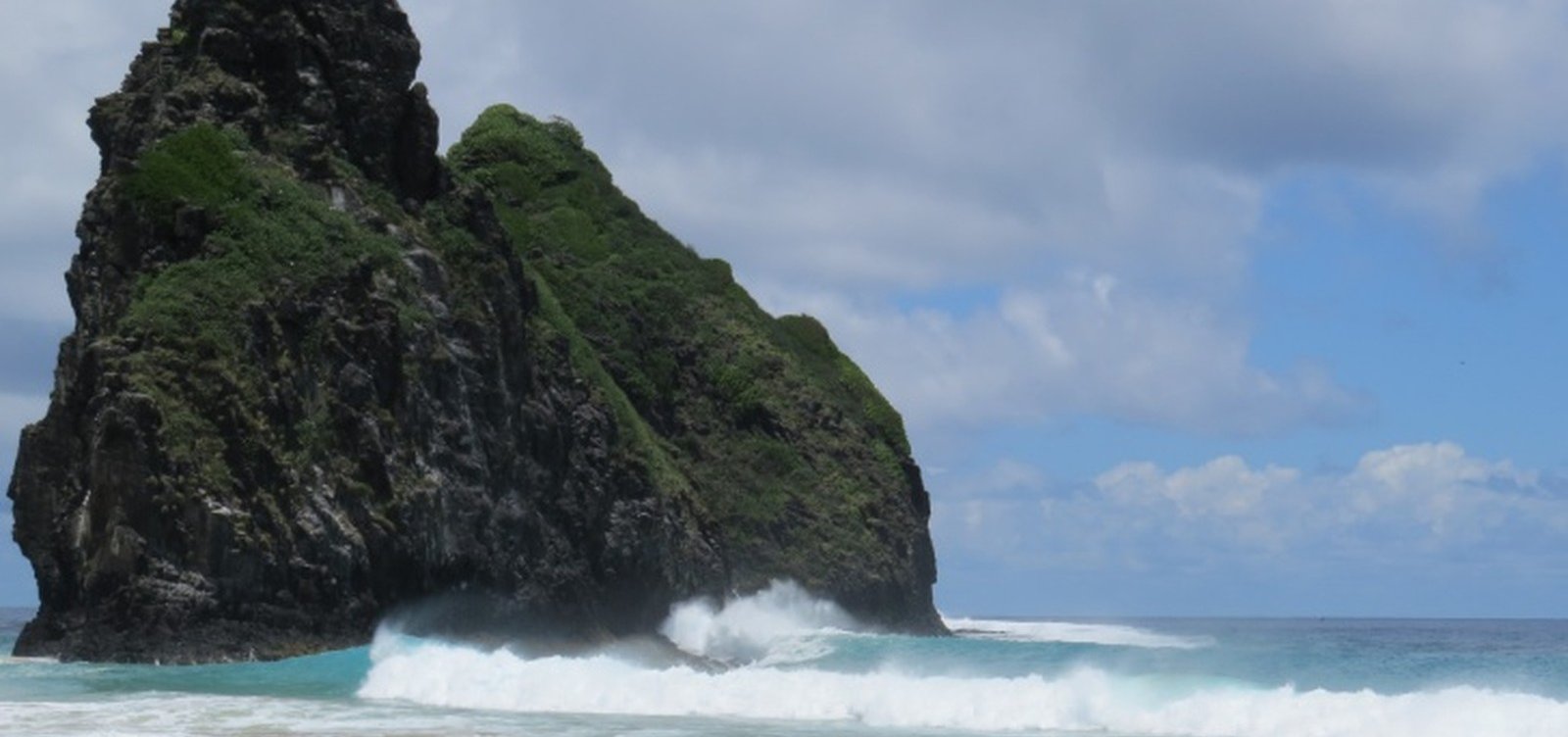 Surfista é mordido no rosto por tubarão em Fernando de Noronha