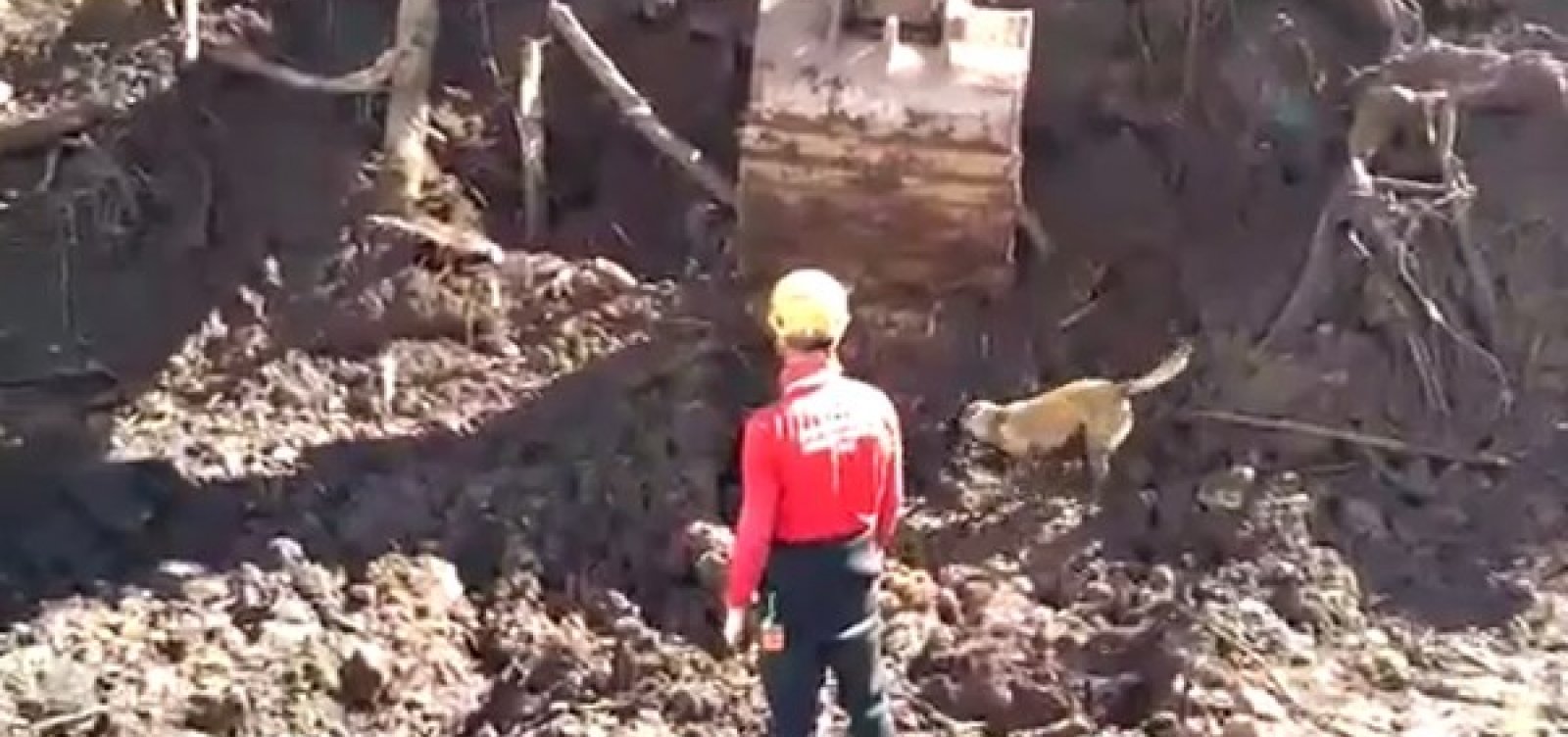 Bombeiros encontram almoxarifado sob mar de lama em Brumadinho