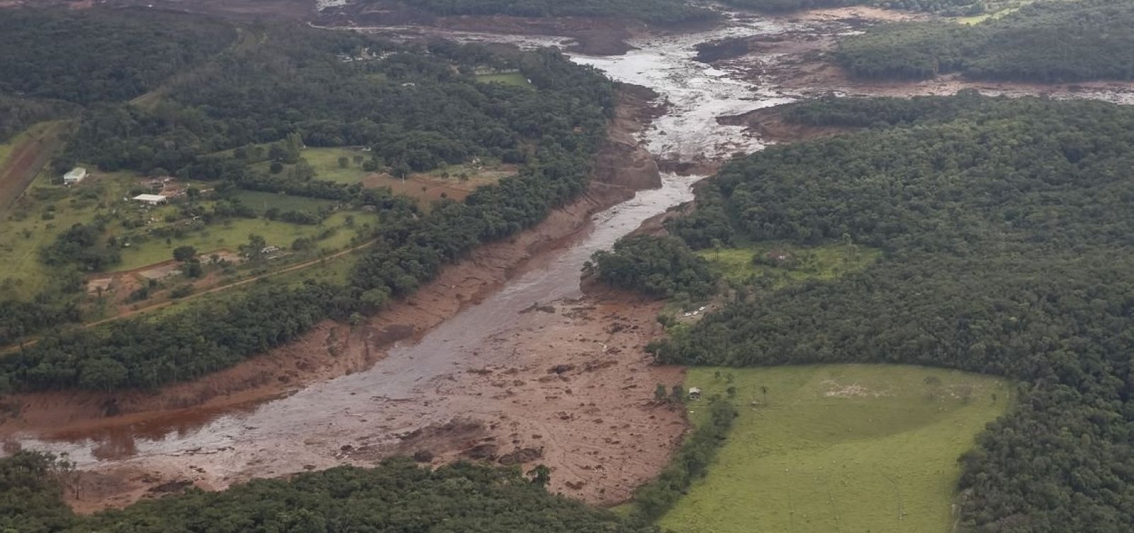 CMN publica prorrogação de operações de créditos para produtores rurais de Brumadinho