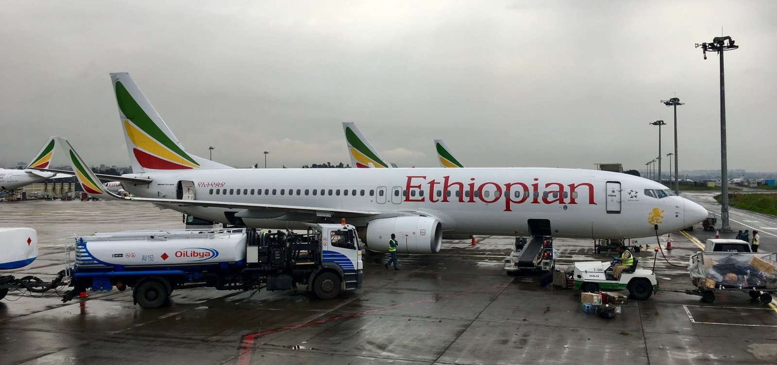 'Não há sobreviventes', diz CEO da Ethiopian Airlines sobre acidente aéreo