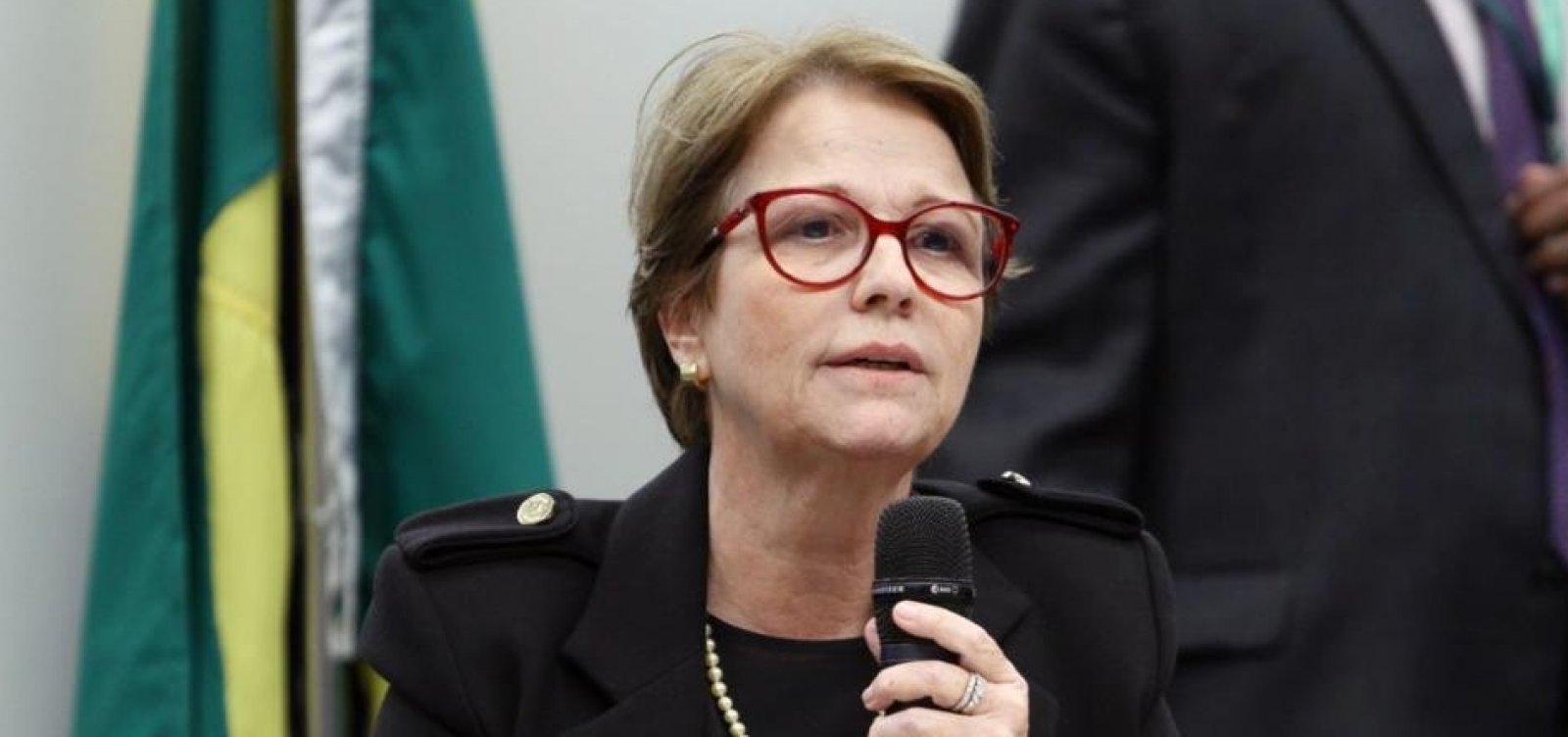 'Brasileiro não passa muita fome porque tem muita manga', diz ministra da Agricultura