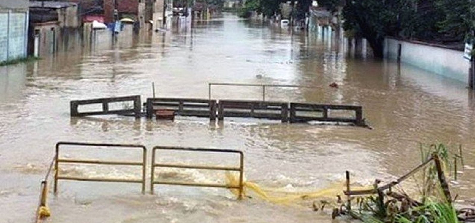 Jacarés fogem de sítio após queda de muro por temporal no Rio