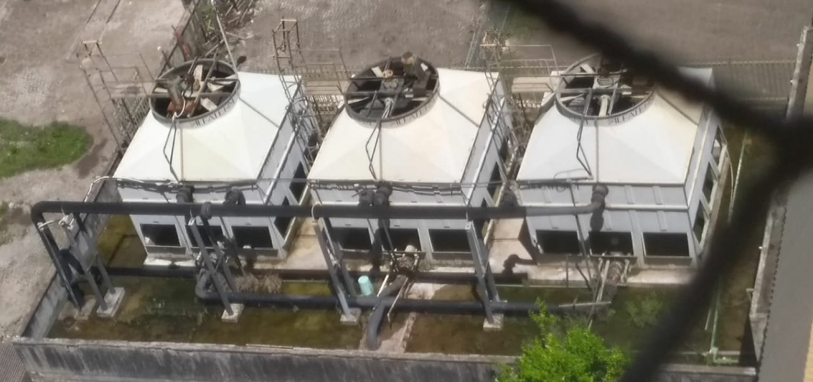 Você Repórter: Moradores denunciam possível foco de dengue em imóvel dos Correios 