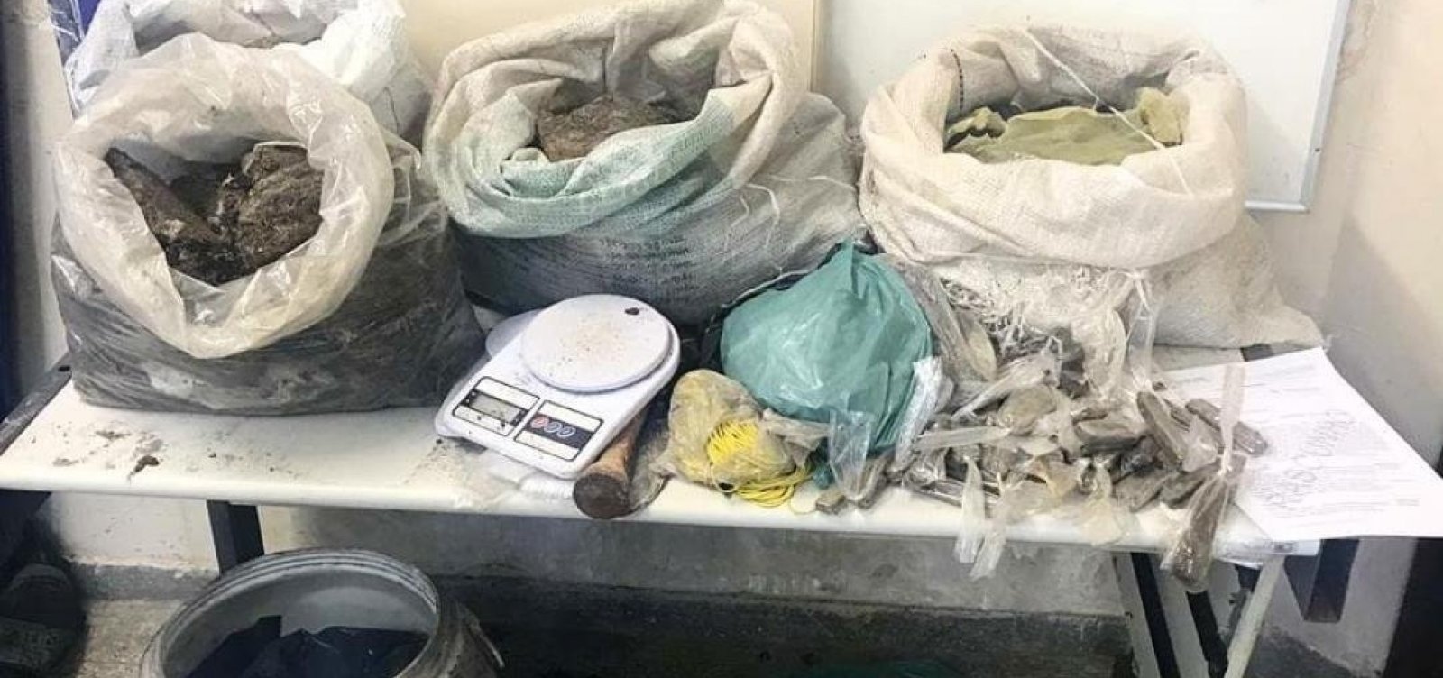 60 kg de maconha são achados enterrados em Abrantes