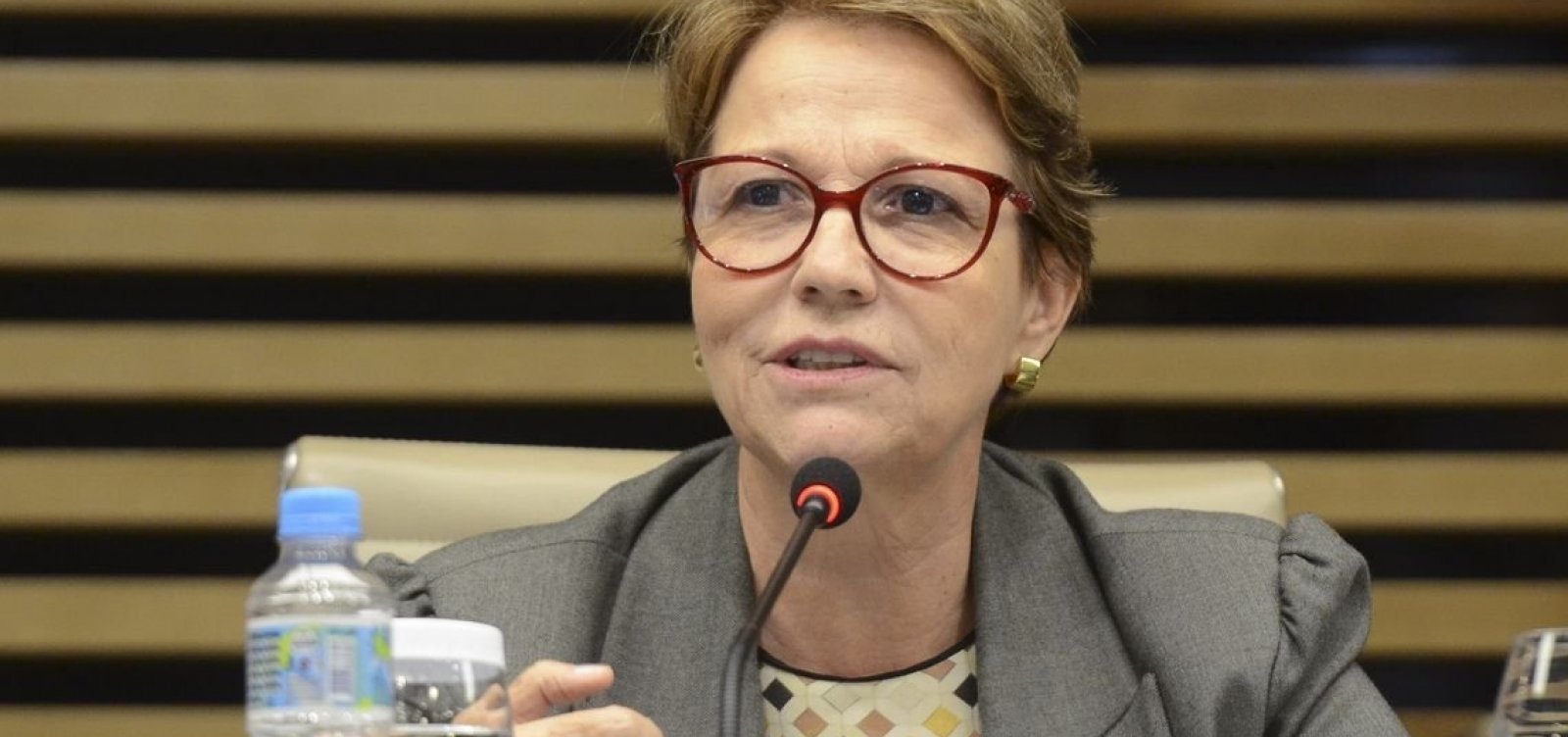 Ministra da Agricultura busca novos negócios na Ásia