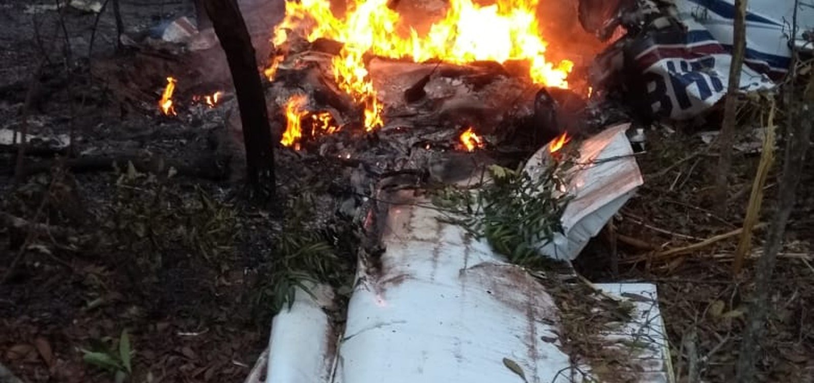 Médico e esposa morrem em queda de avião no Mato Grosso do Sul