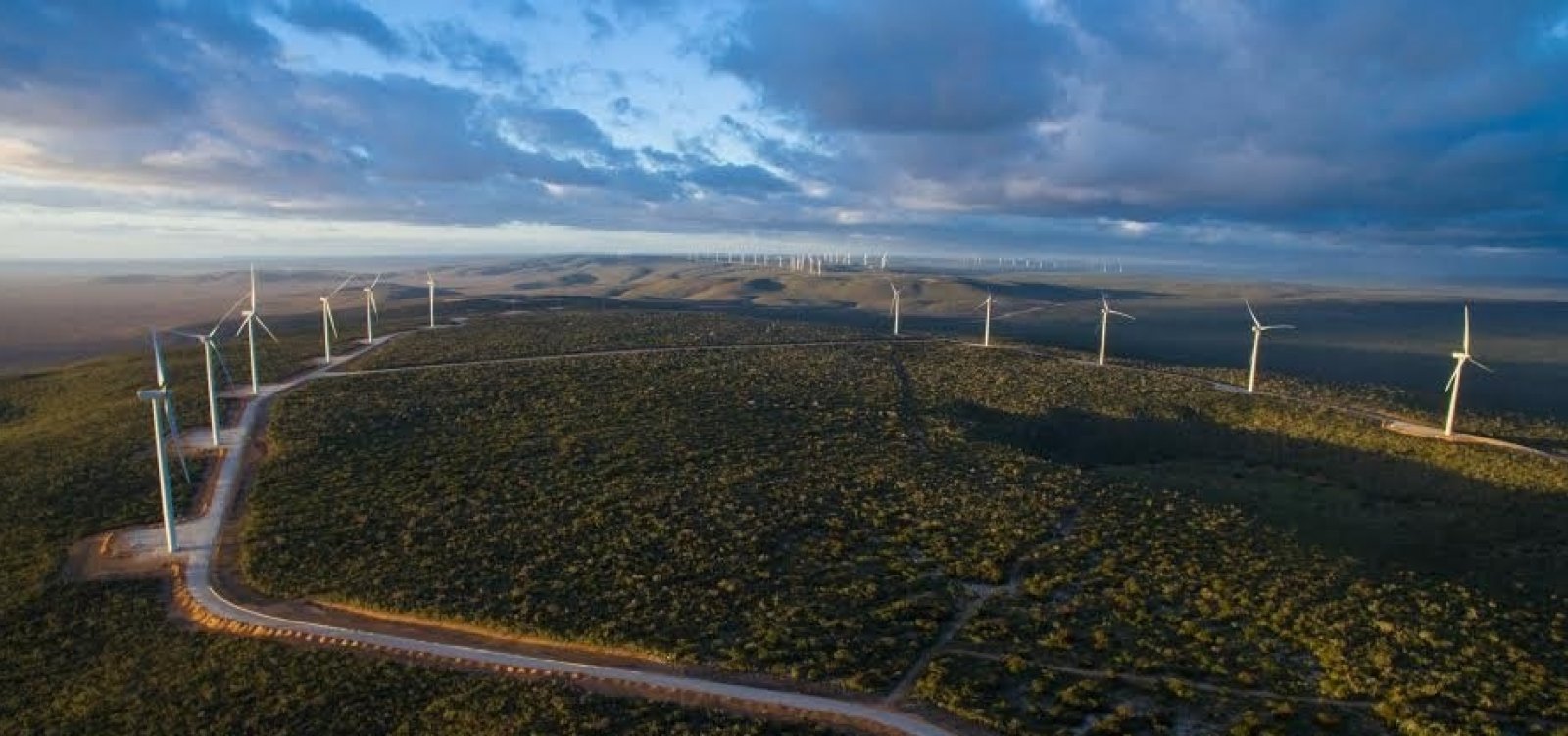 Bahia é responsável por 26% da capacidade instalada de energia eólica do país