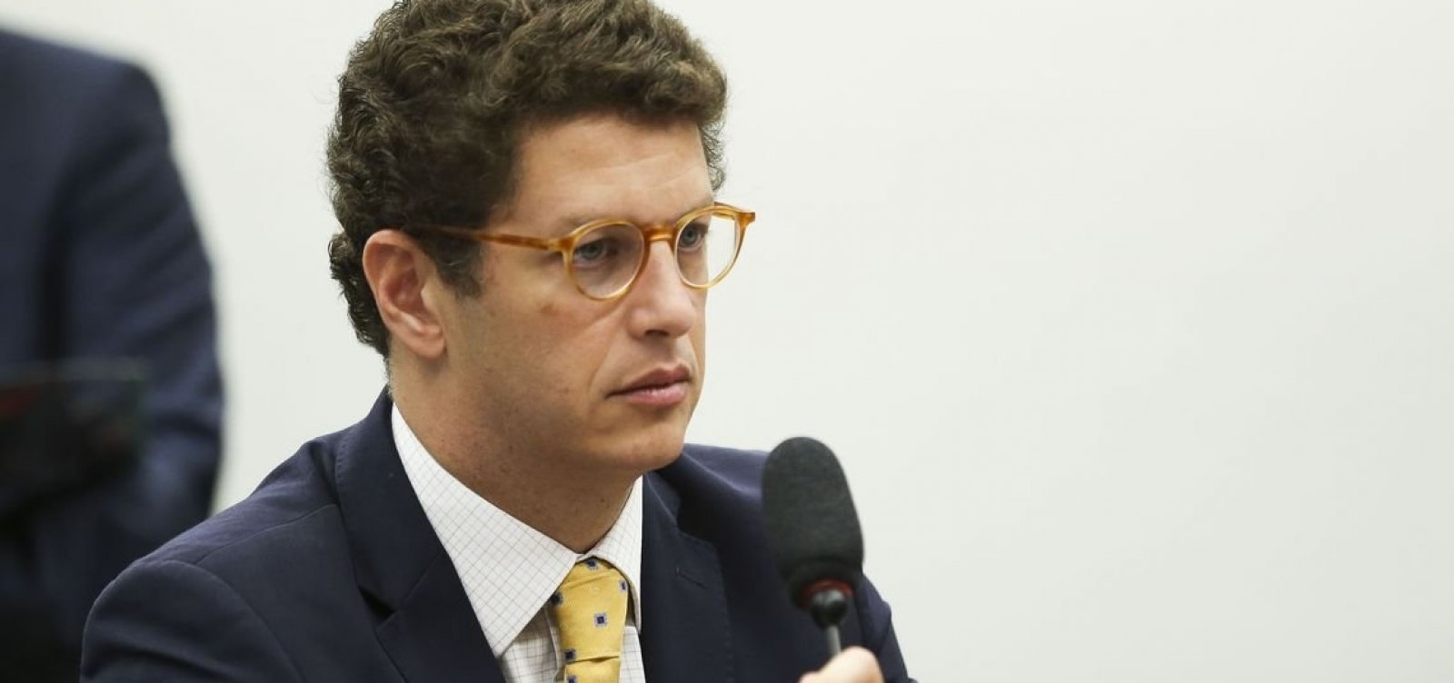 Decisão sobre texto que altera Código Florestal é prerrogativa do Senado, diz Salles