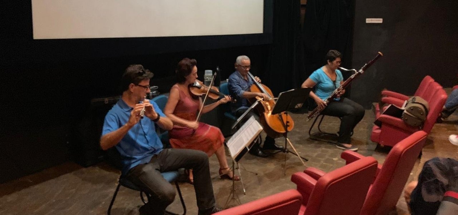 Camerata da Osba faz apresentação gratuita no Museu Geológico