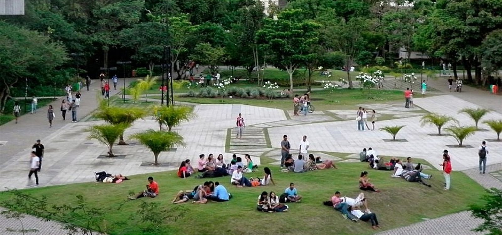Levantamento aponta que 75,6% dos alunos são negros na Ufba