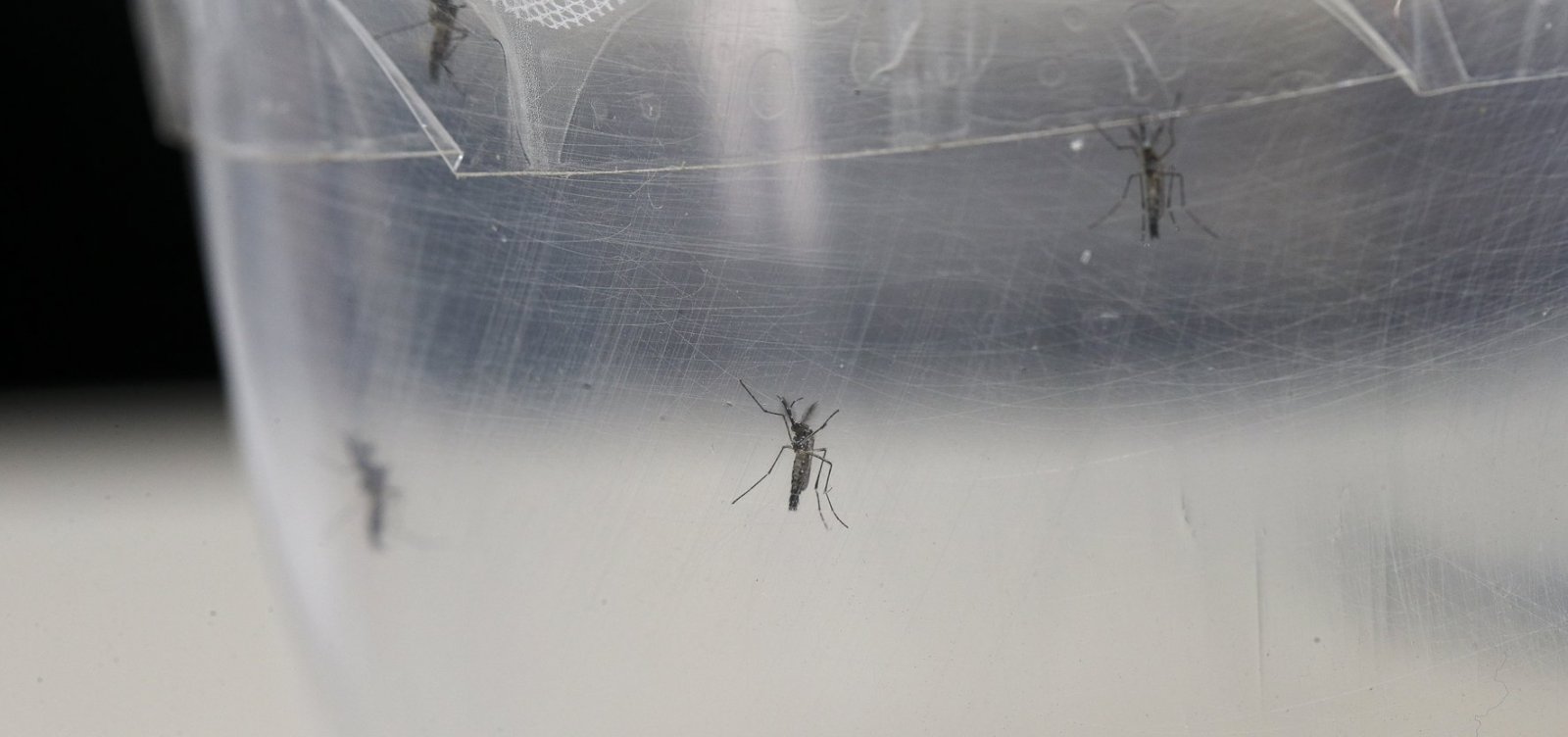 Doença com sintomas semelhantes aos da dengue assusta moradores de Entre Rios