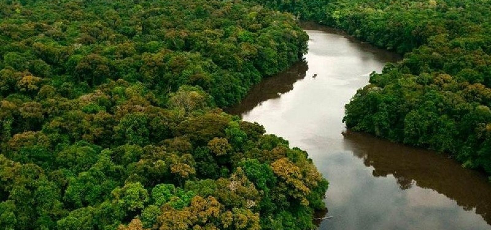 Quase 70% das áreas de proteção da Amazônia estão sob ameaça, diz estudo
