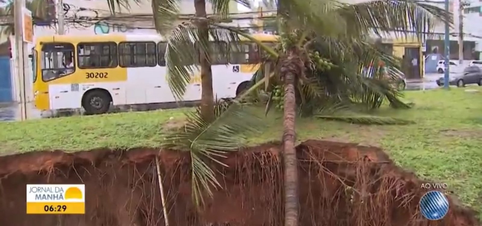 Chuva causa queda de árvores e falta de energia em Salvador