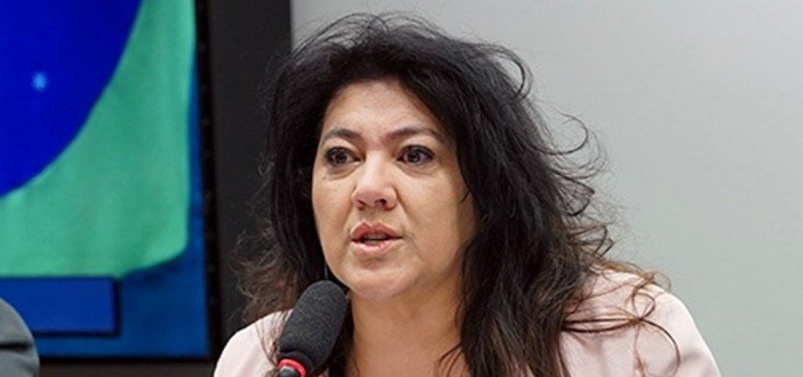 ‘Não sei o valor de uma cadeirinha, mas sei quanto custa um caixão’, diz aliada de Bolsonaro