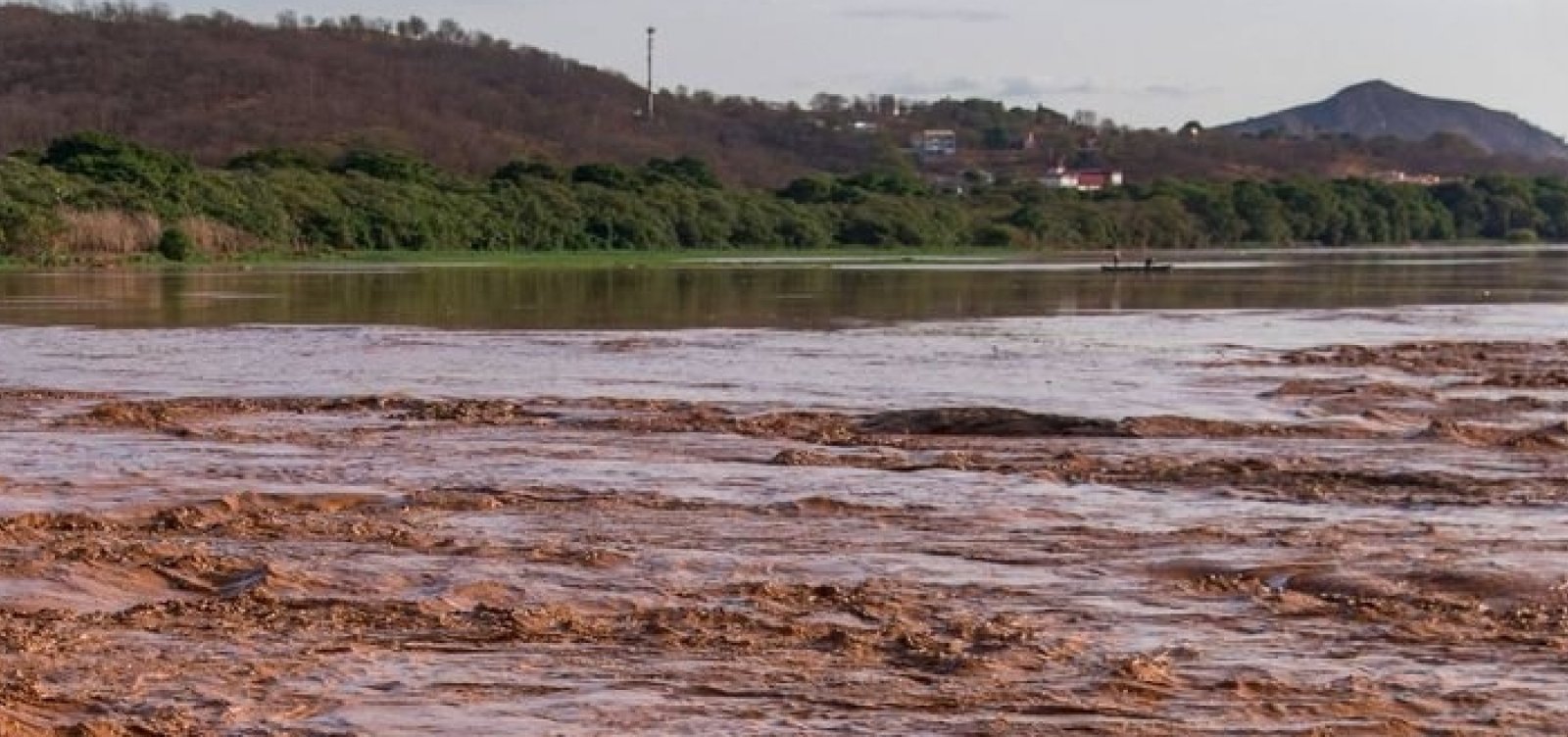 Análise da Anvisa sobre consumo de peixes do Rio Doce causa divergências