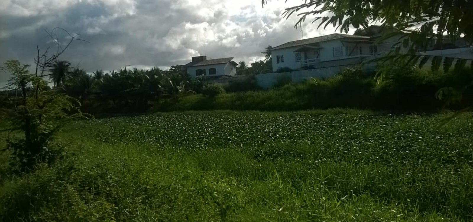 Lauro de Freitas: obras de limpeza do Rio Sapato estão paradas desde o ano passado