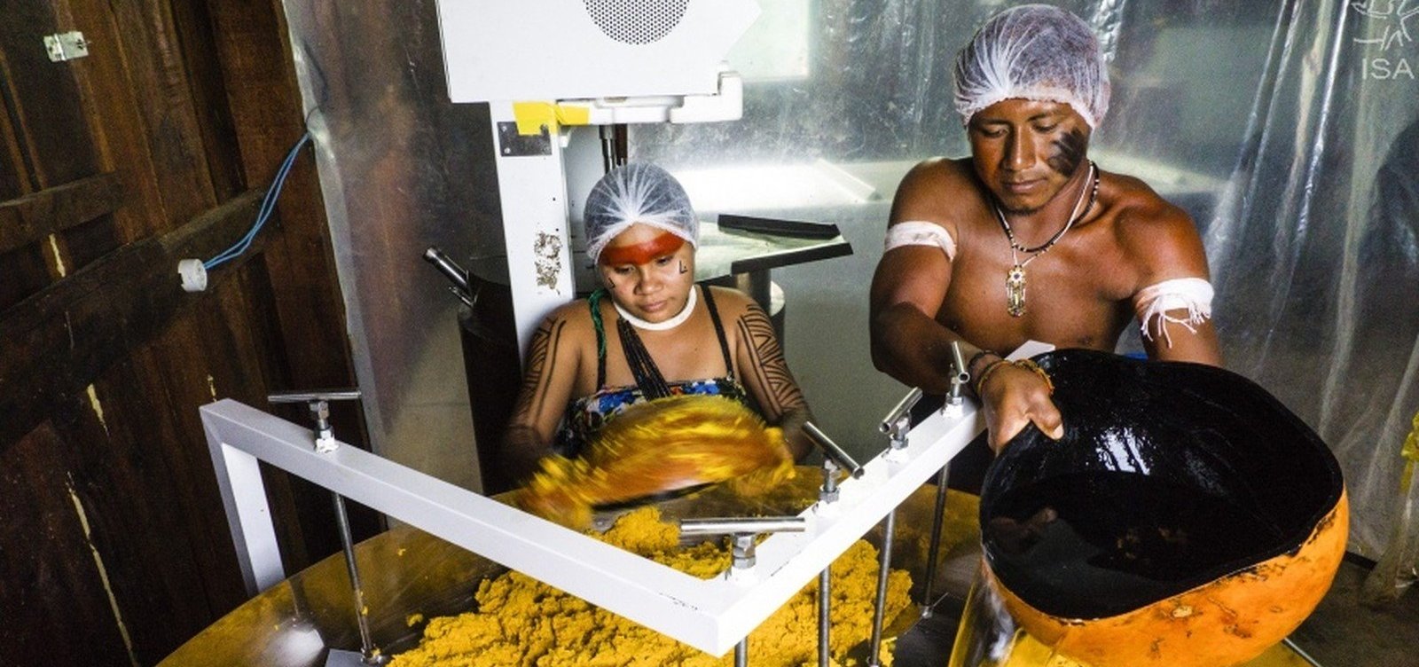 Índios de MT ganham prêmio da ONU por produção de óleo de pequi