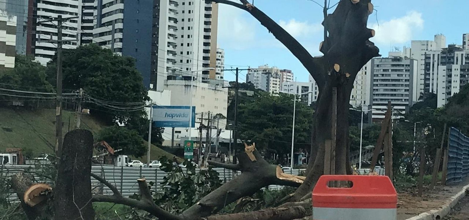 Derrubada de árvores avança em obras do BRT na Avenida ACM