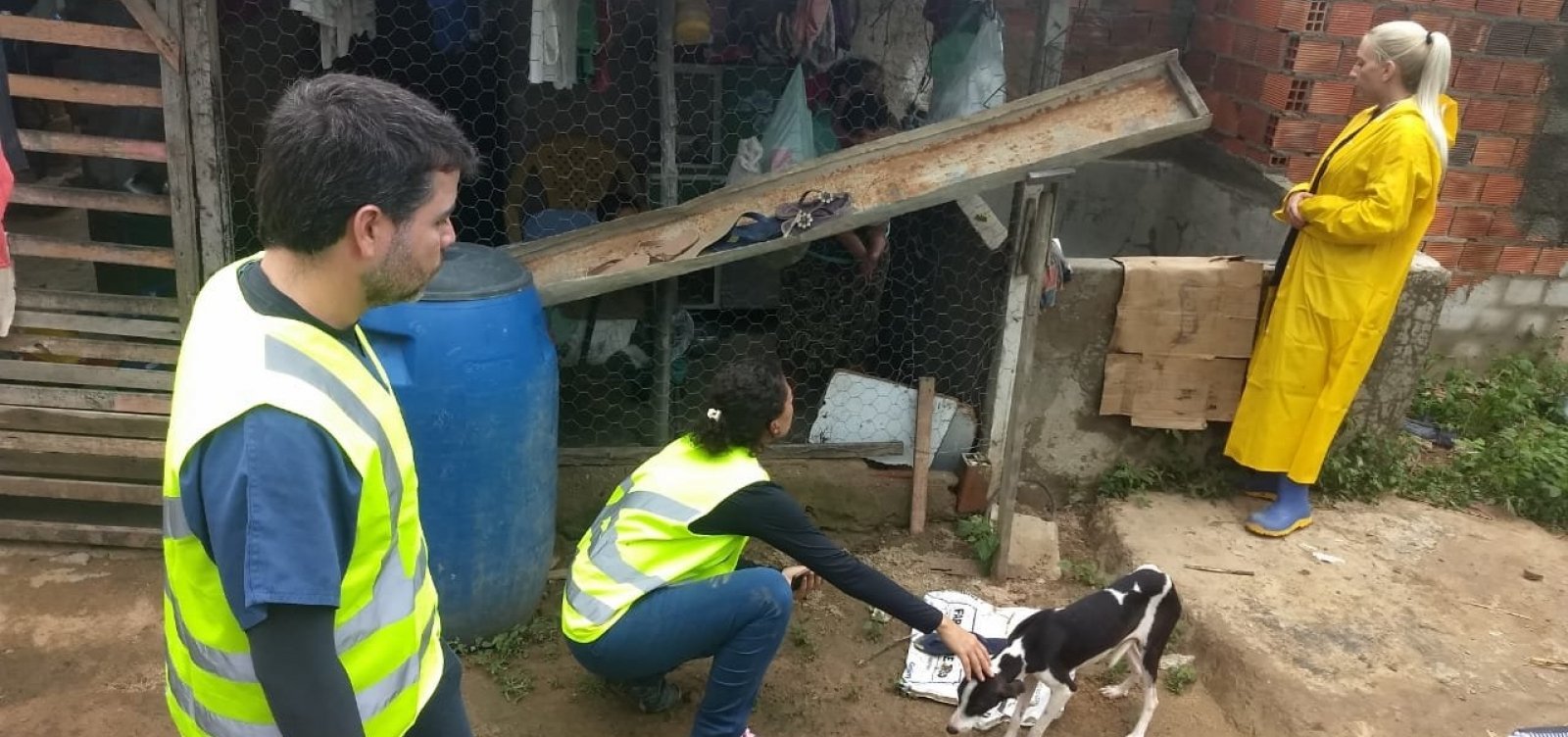 Coronel João Sá: Mais de 300 animais foram atendidos por veterinários voluntários