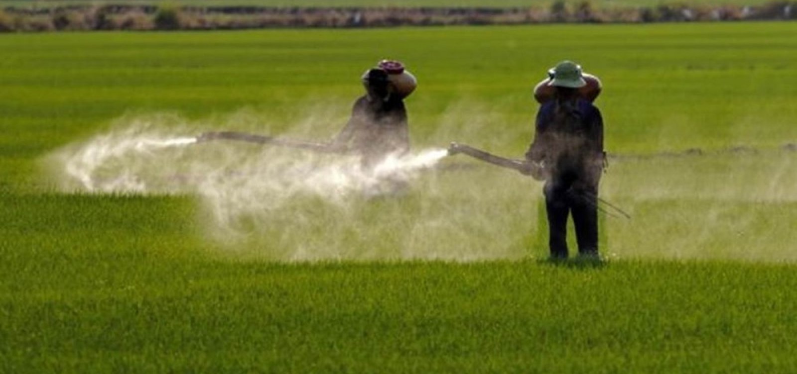 Governo aprova registro de mais 51 agrotóxicos