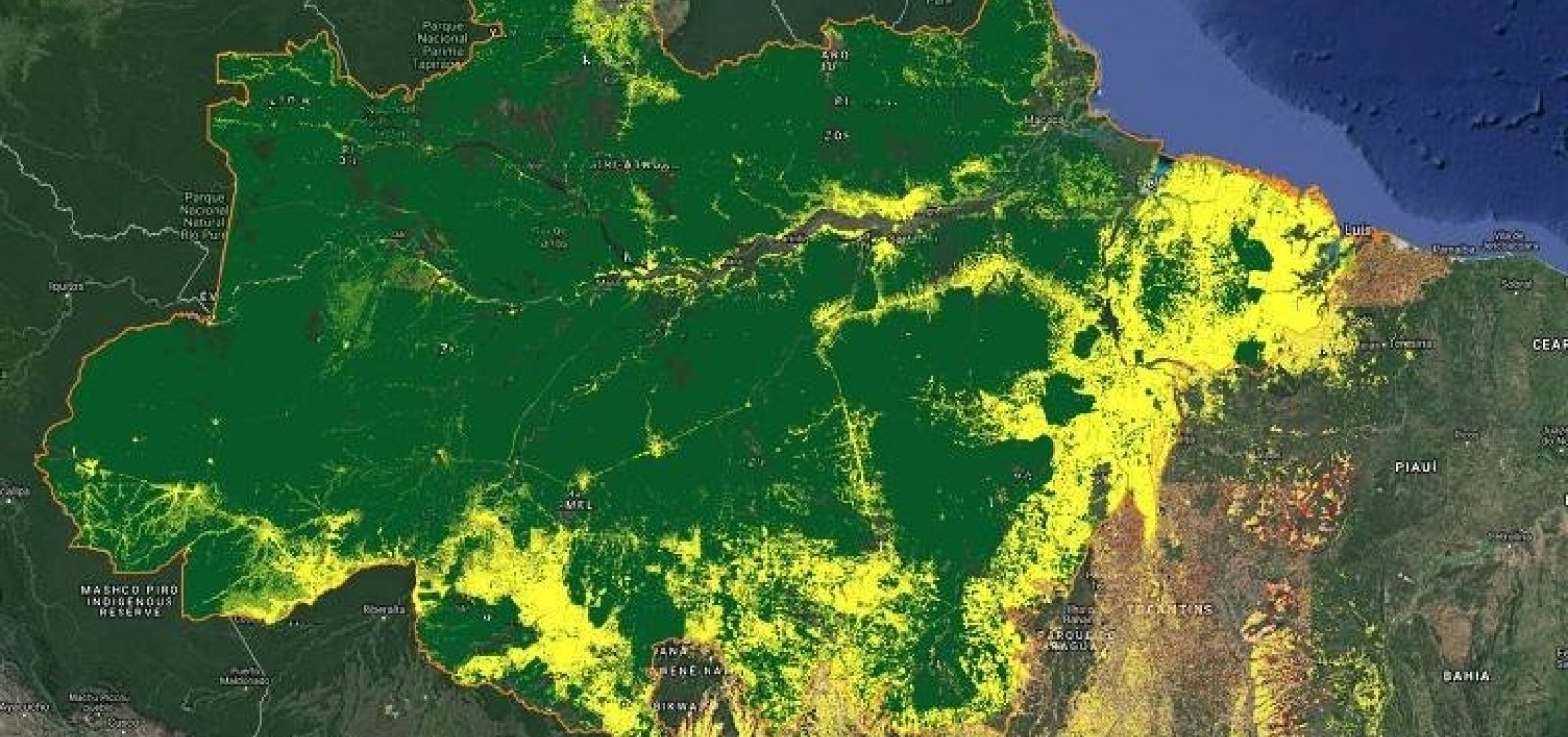 Após questionamento de Bolsonaro, Inpe reafirma confiança em dados sobre desmatamento