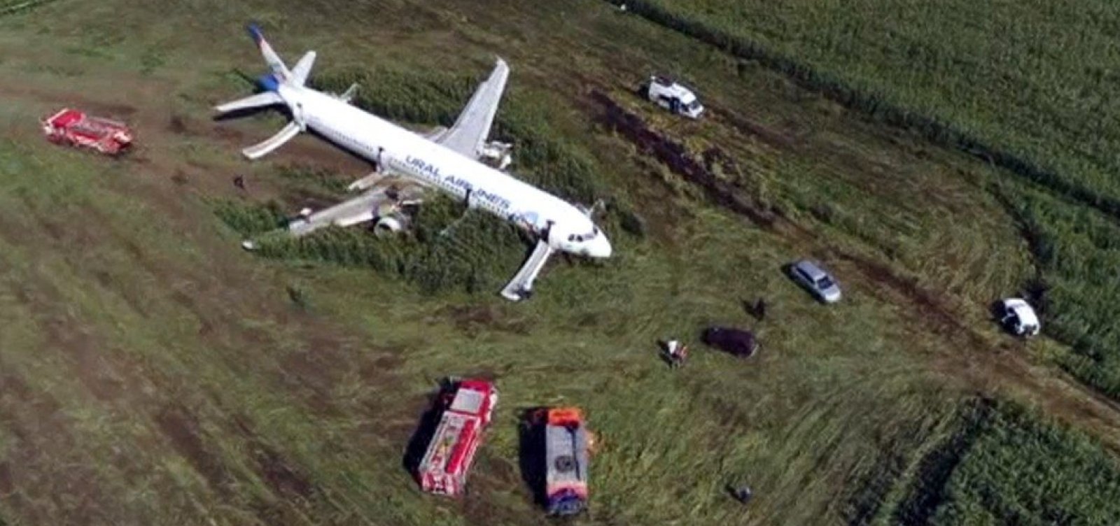 Avião faz pouso de emergência após colidir com pássaros na Rússia