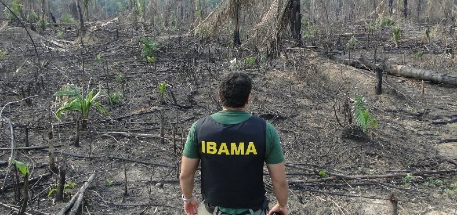 Fim do Fundo Amazônia pode afetar fiscalizações contra o desmatamento