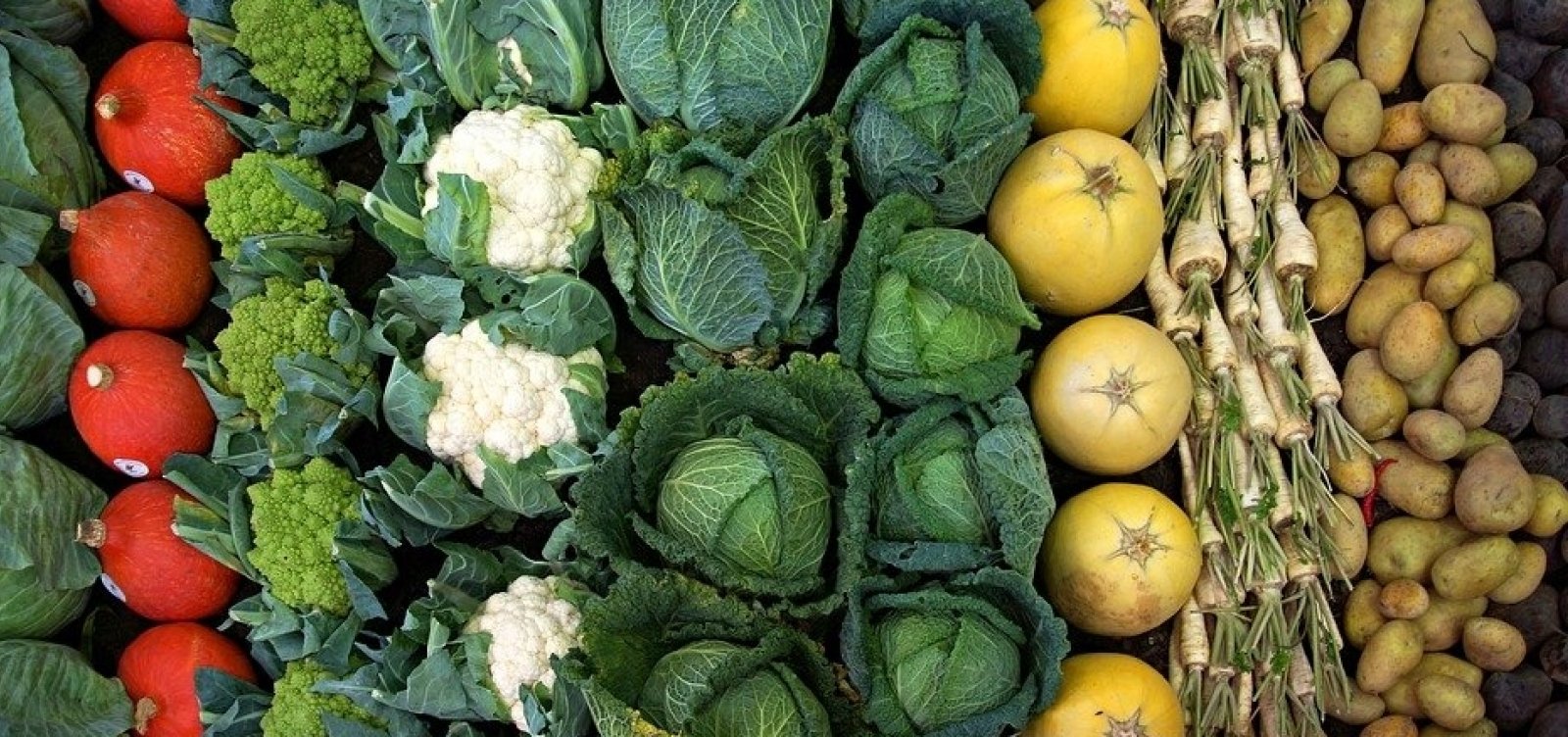 Preço de legumes em Salvador está em queda