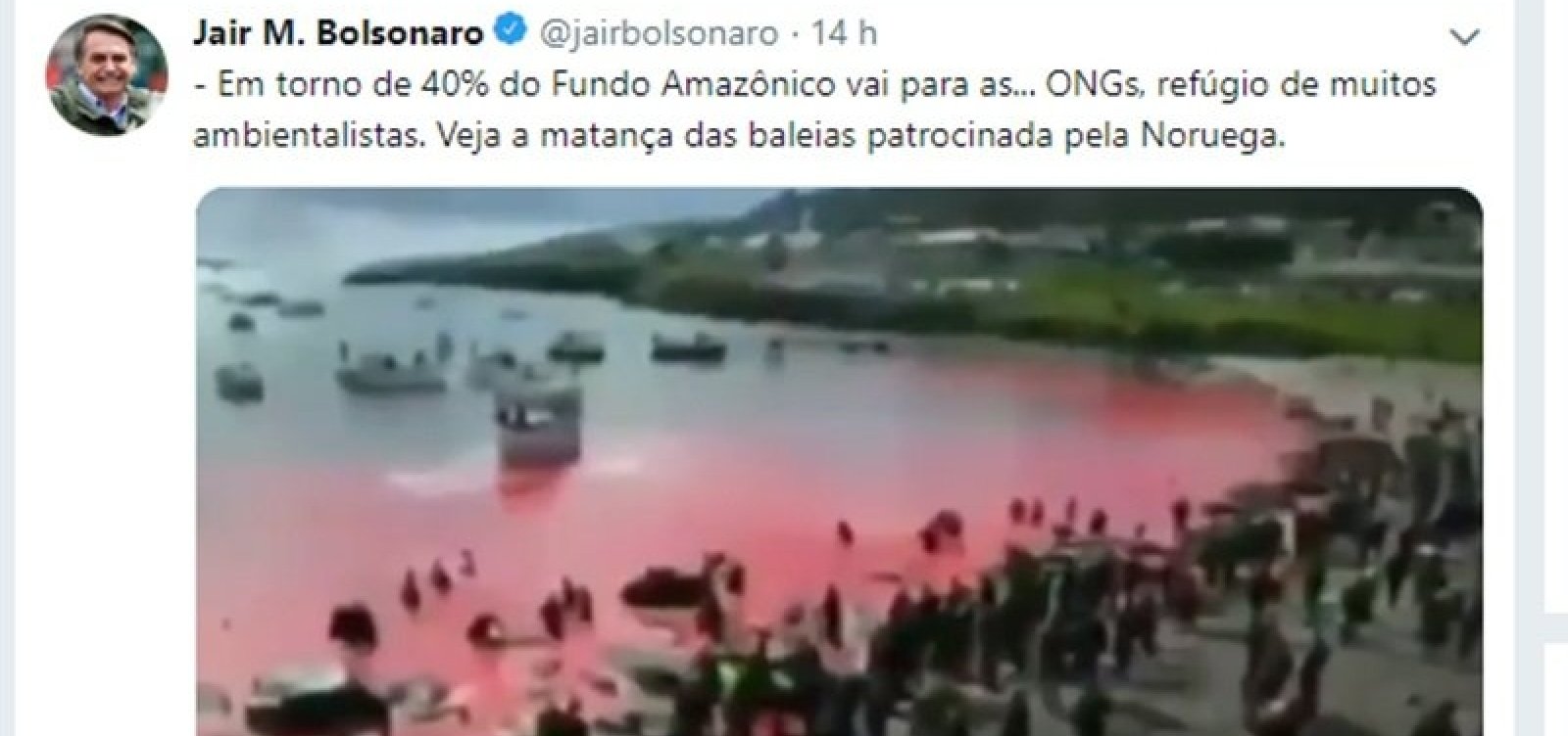 Bolsonaro posta vídeo de caça a baleias na Dinamarca para criticar Noruega