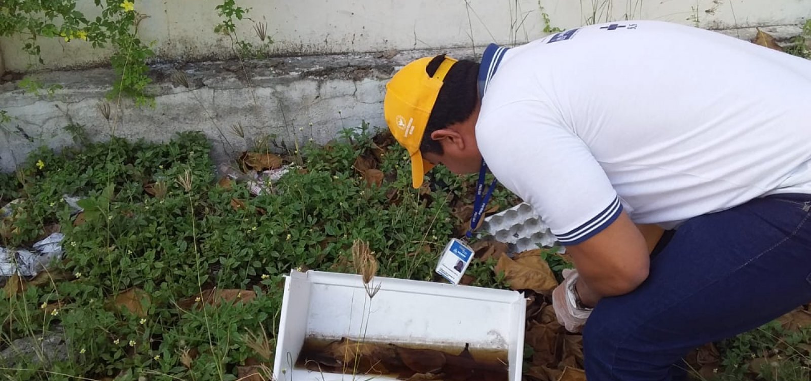 Armadilhas contra o Aedes aegypti são instaladas em pontos estratégicos de Salvador