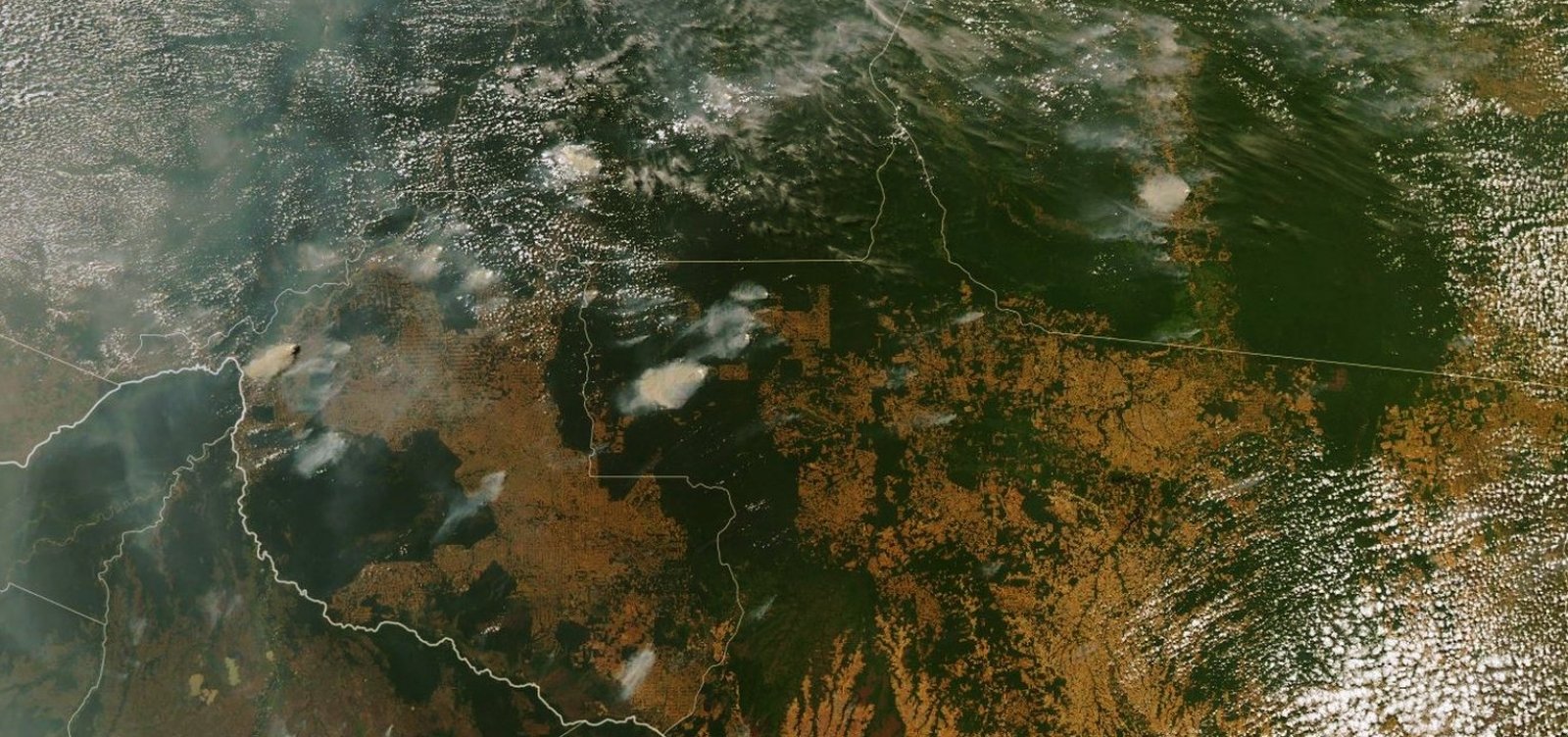 Nasa diz que focos de incêndio na Amazônia têm assinatura do desmatamento 