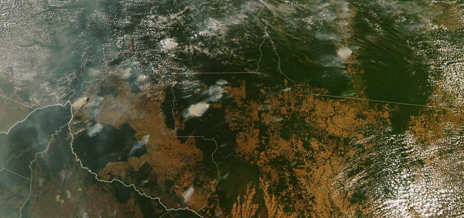 PSL discute CPI das ONGs para rebater investigação sobre incêndios na Amazônia