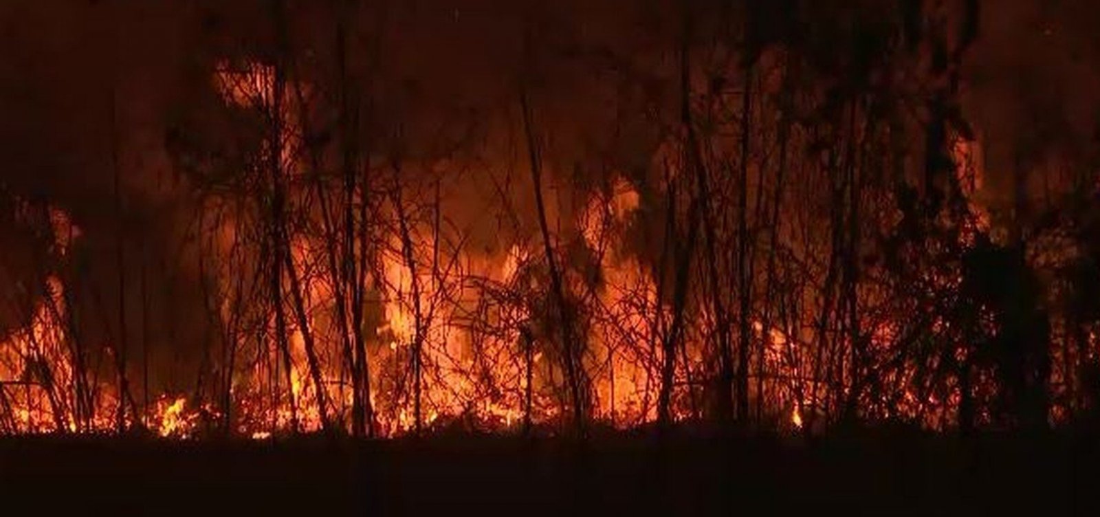 Amazonas oficializa pedido e sete estados já autorizam Forças Armadas no combate a queimadas
