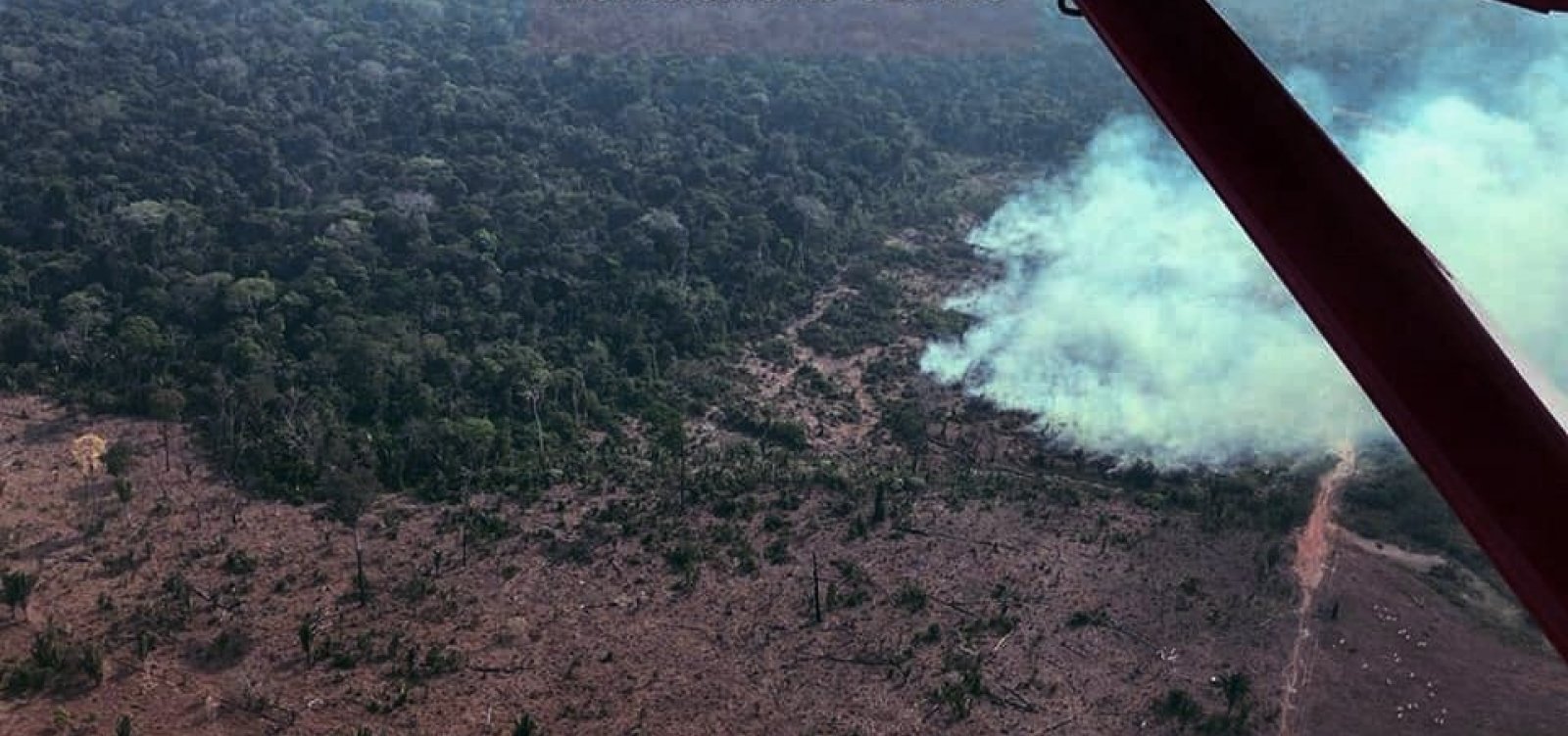 Iniciativa criada por Leonardo DiCaprio doará US$ 5 milhões para ONGs da Amazônia