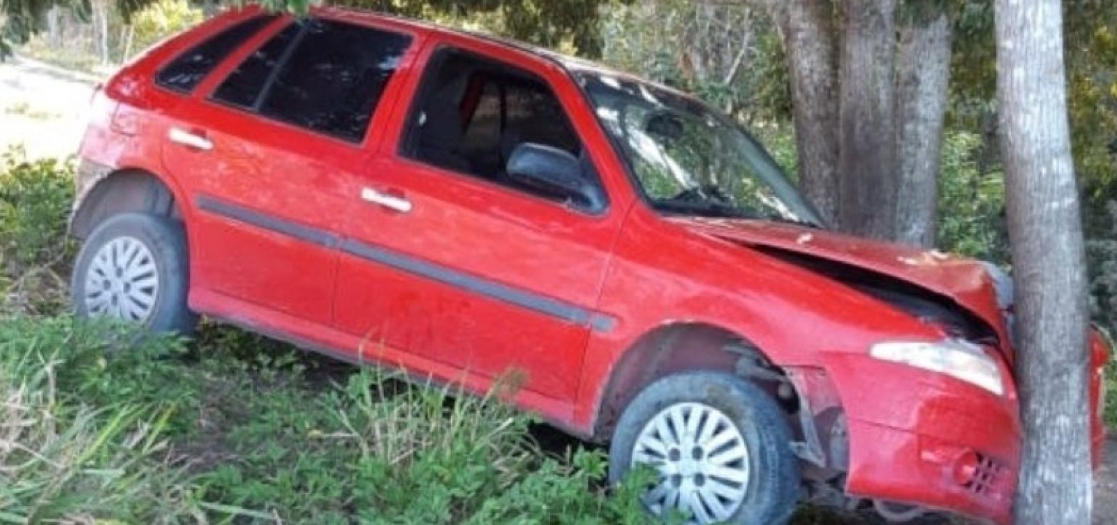 Motorista embriagado foge da polícia, bate em árvore e é preso no extremo sul