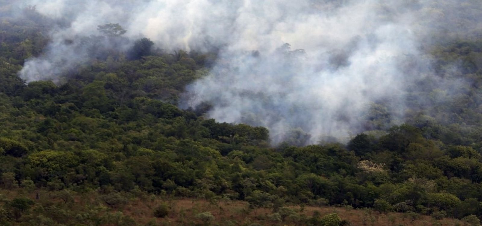 Autuações por crimes como queimadas e desmatamento caem 23% na Amazônia Legal