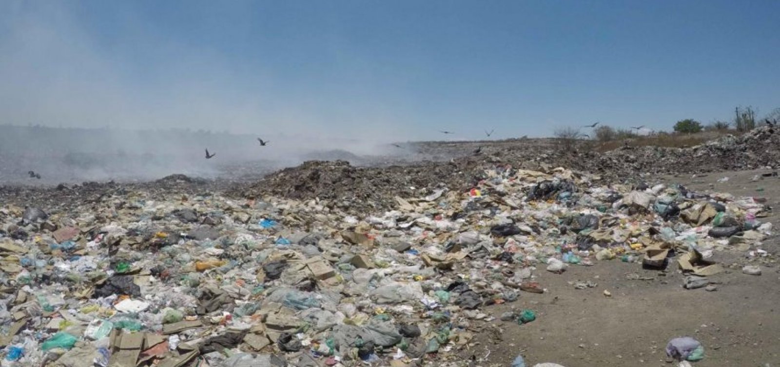 Campo Formoso: MP denuncia prefeitura por descarte irregular do lixo e pede multa de R$ 10mi